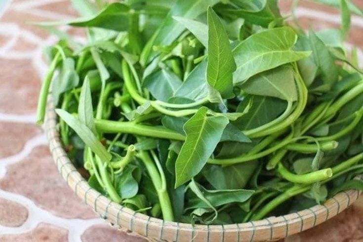 Manfaat Kangkung untuk Kesehatan Tubuh dan Otak